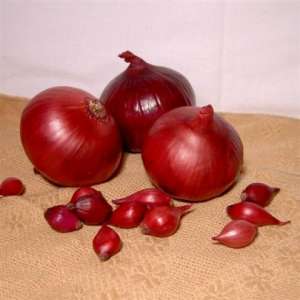 Севок (арпаш) Ред Барон - лук красный, 10 кг фото, цена